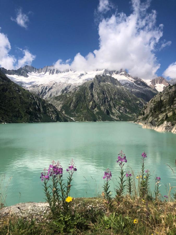 格申恩Alpine Haus公寓 外观 照片